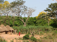 Cumura, Guinea-Bissau