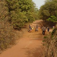strada pefine - Il Cuore in Africa